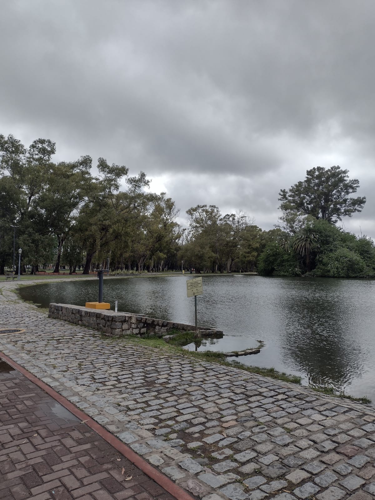 Lago Regatas a corta distancia